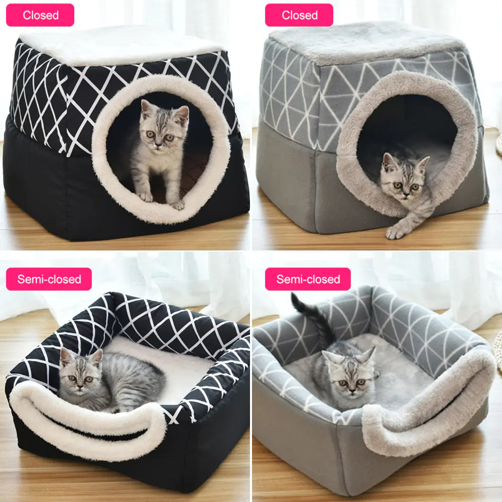 Comfort and Fun