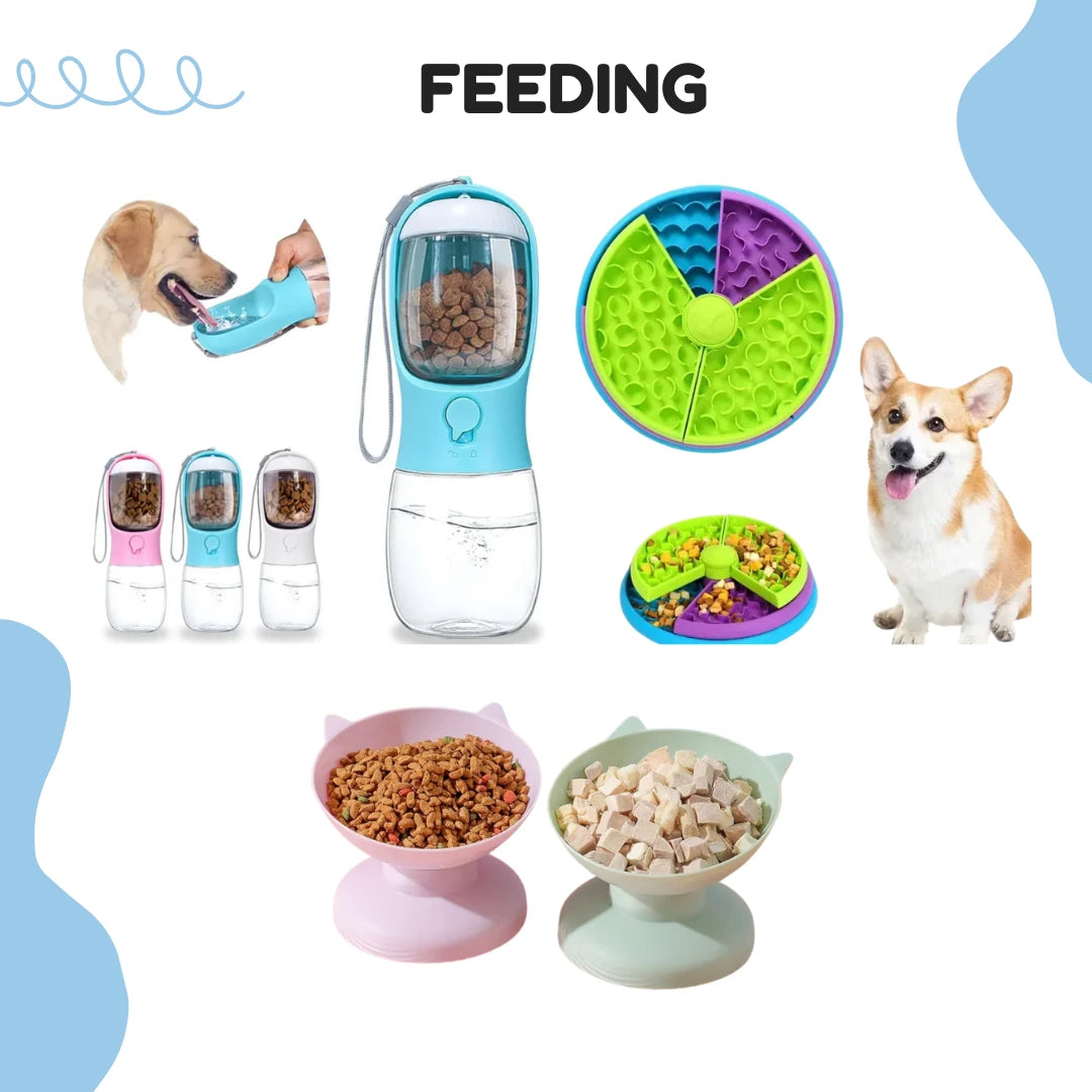 Feeding