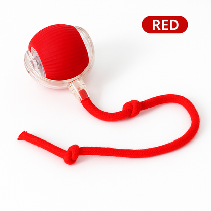 PurrPlay AutoTease Ball – Smart Interactive Cat Toy