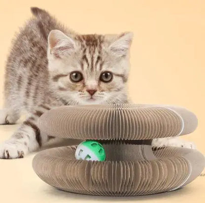 PuraPawFect Transformable Cat Scratch Board – Durable Foldable Toy