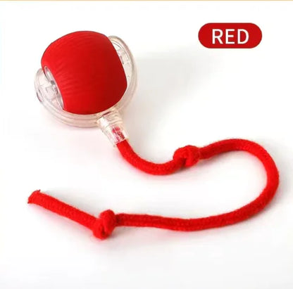 PurrPlay AutoTease Ball – Smart Interactive Cat Toy