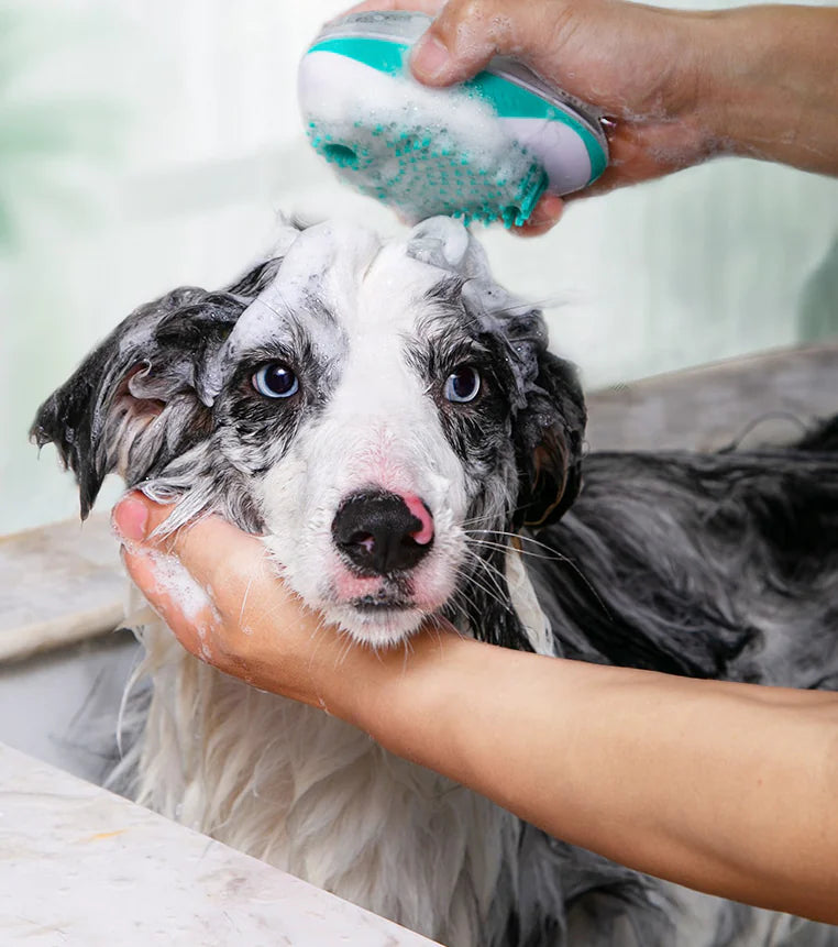 PuraPawFect SpaEase Massaging Bath Brush