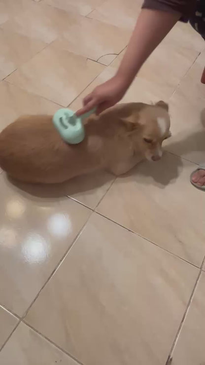 PuraPawFect SteamGroom 3-in-1 Brush