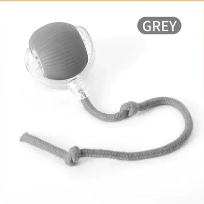 PurrPlay AutoTease Ball – Smart Interactive Cat Toy